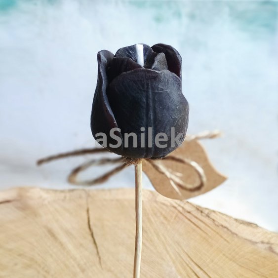 Tulipán, zápich - svíčka z včelího vosku